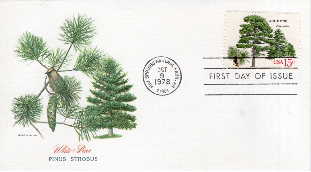 WHITE PINE  - 1978 - FW547
