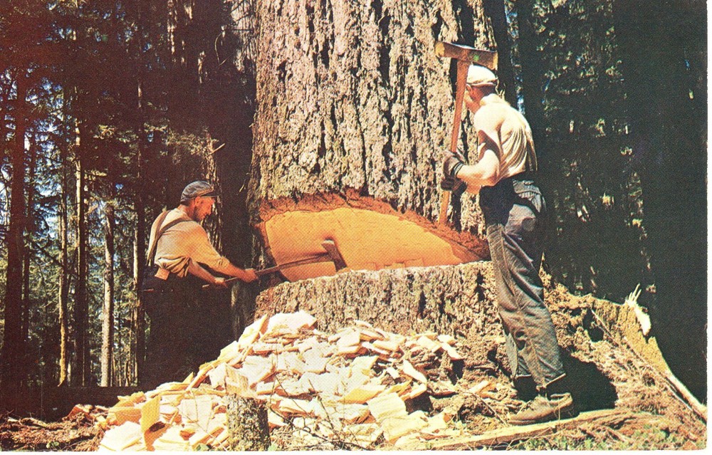 CAUTION - MUSCLES AT WORK - PC4539