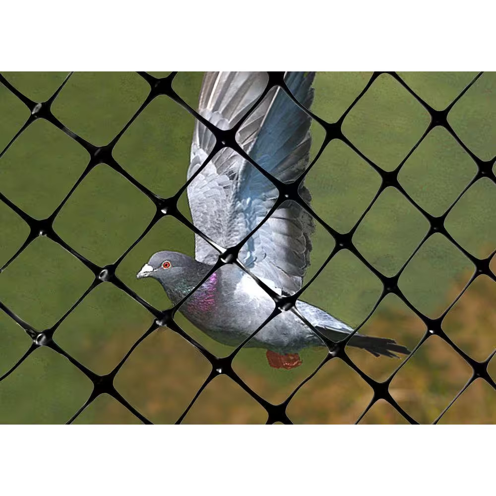 100 Ft. X 14 Ft. Structural Bird Netting