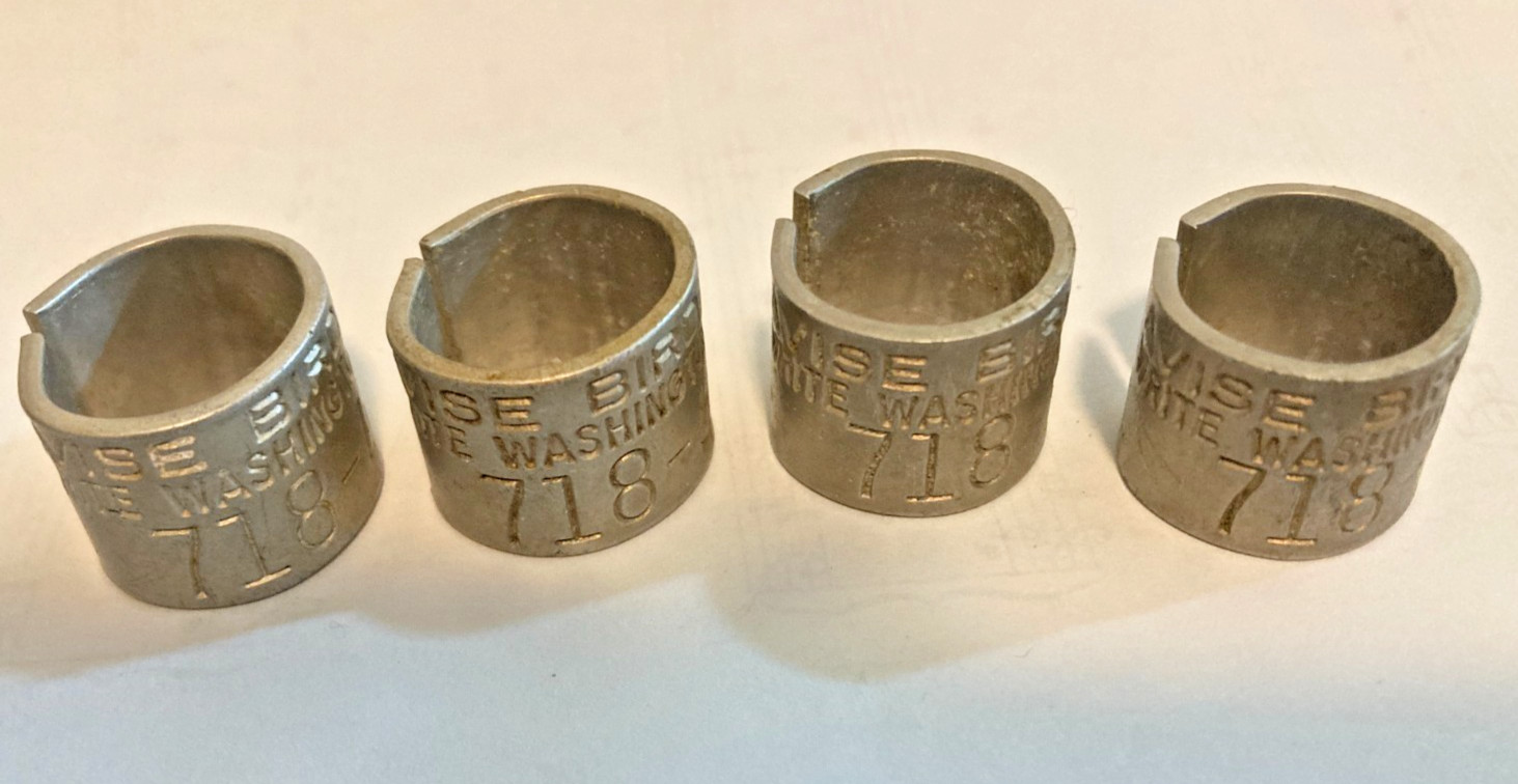 AVISE Bird Leg Bands - 718 Prefix - Write Washington DC USA - 4 Vintage Bands
