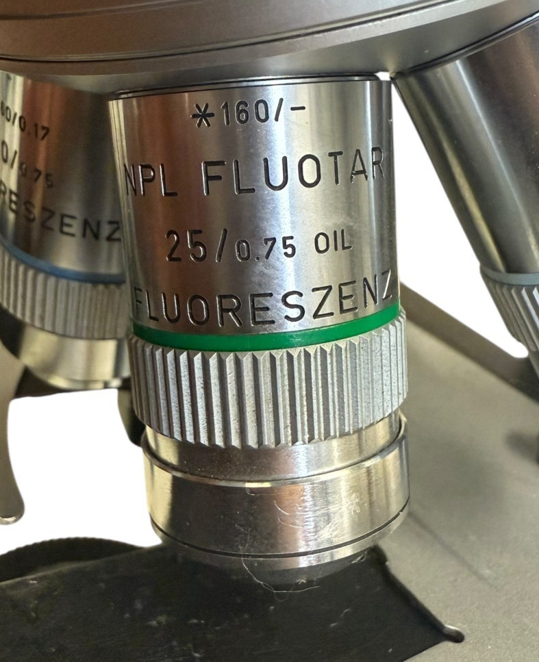 Leitz Laborlux D Microscope Trinocular Oil 50x DPlan Illuminator Germany