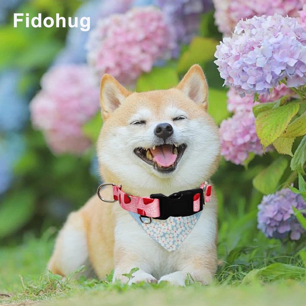 Martingale Collar for Dogs with Pink Strawberry Pattern No Pull Training Nylo...