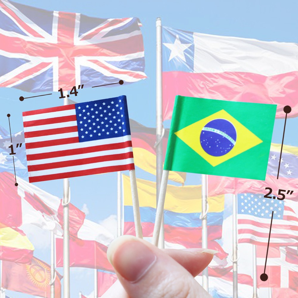 Anley Assorted 100 Different Countries Toothpick Flag Double Sided & Smooth Pick