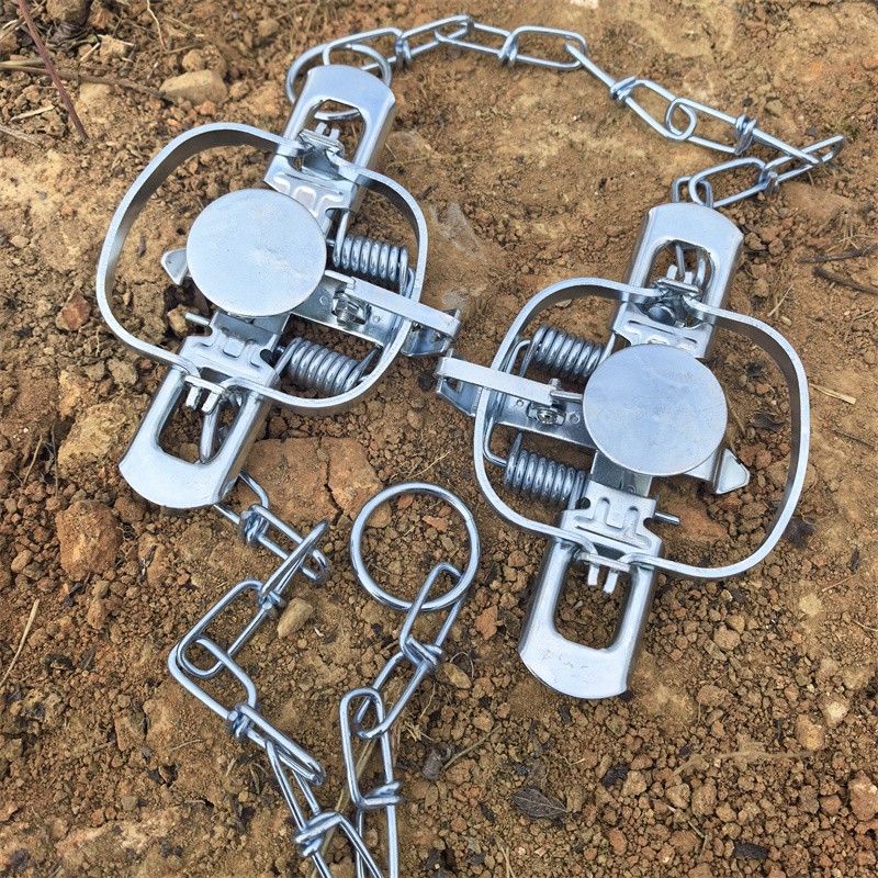 2-Packs 4-3/10 Inch Coil Trap Mouse Raccoon Mink Nutria Muskrat Groundhog Rat