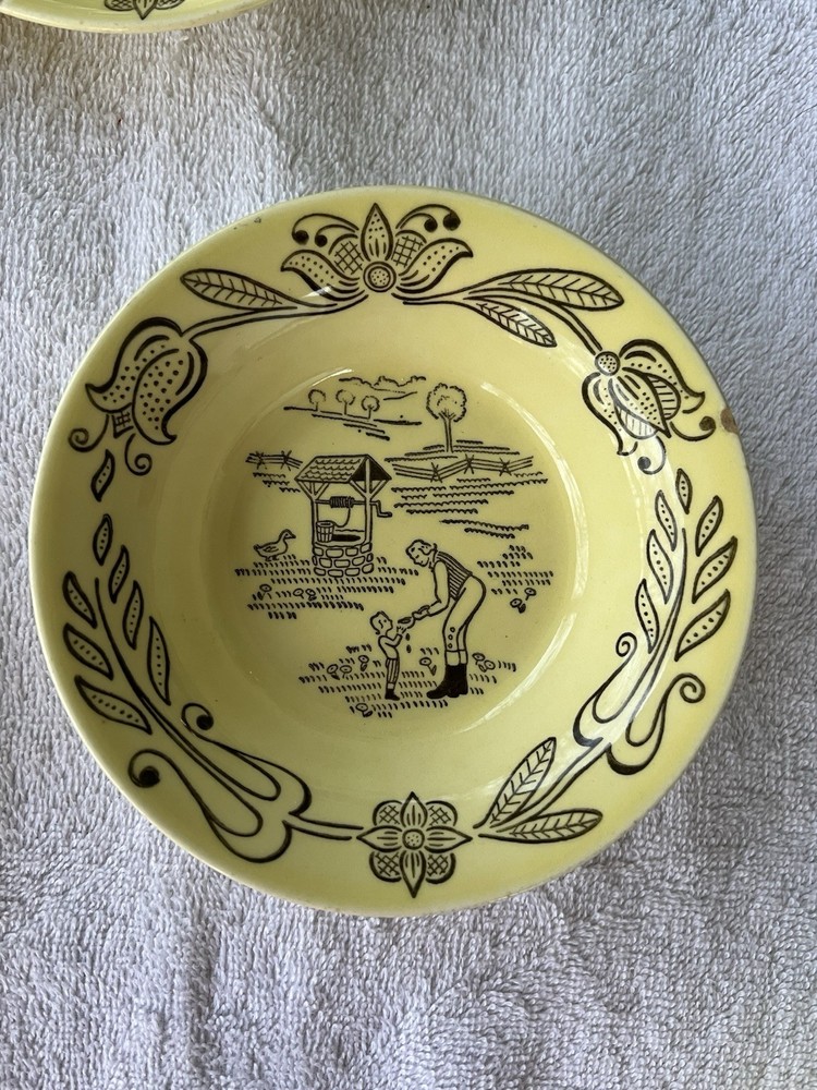 Vintage Bucks County Dinnerware
