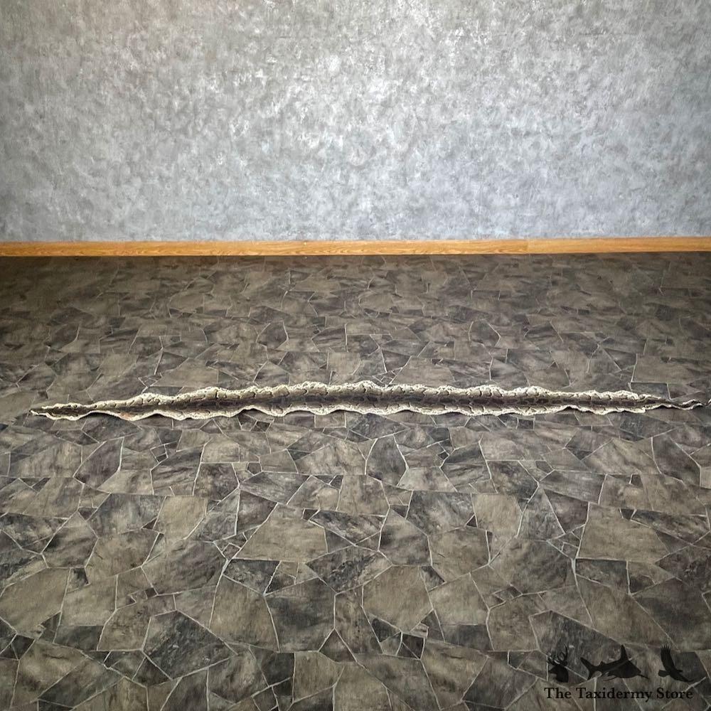 #26290 E | African Rock Python Snake Skin Rug Mount For Sale
