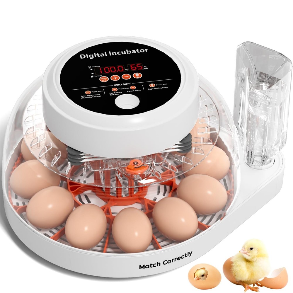 12 Egg Incubator for Hatching Eggs with Automatic Egg Turning, Temperature & ...