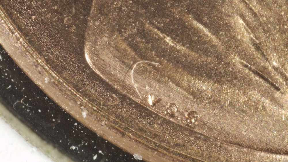 2009-D 95% COPPER Lincoln Cent MASTERPIECE -"Crying Eye" & "Beast 8" MULTI-ERROR
