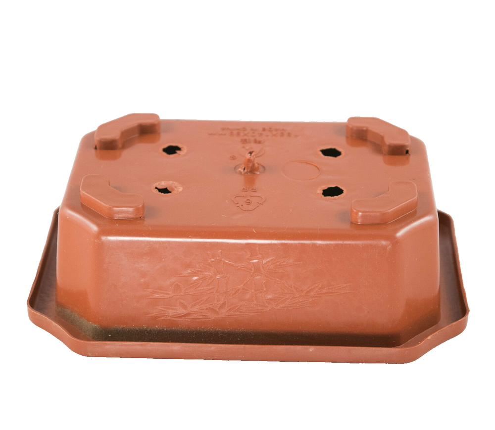 4 Rectangular Plastic Bonsai Training Pot, Succulent Planter - 6.25"x 4.5"x 2"