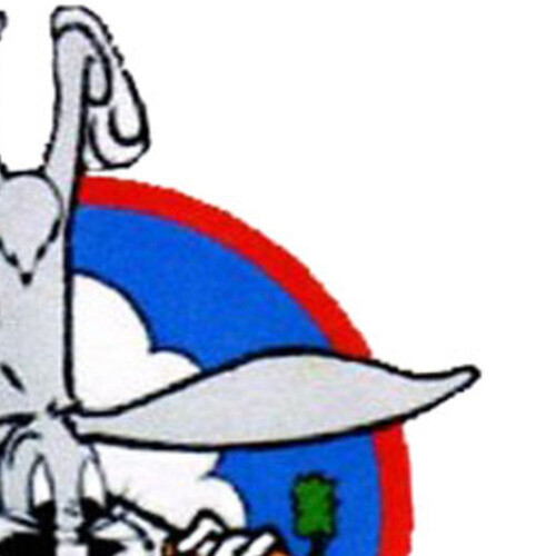 VB-9 Aviation Bombing Squadron Nine Patch