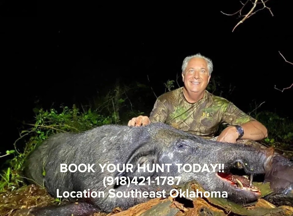 Semi Guided Wild Hog Hunts In Oklahoma