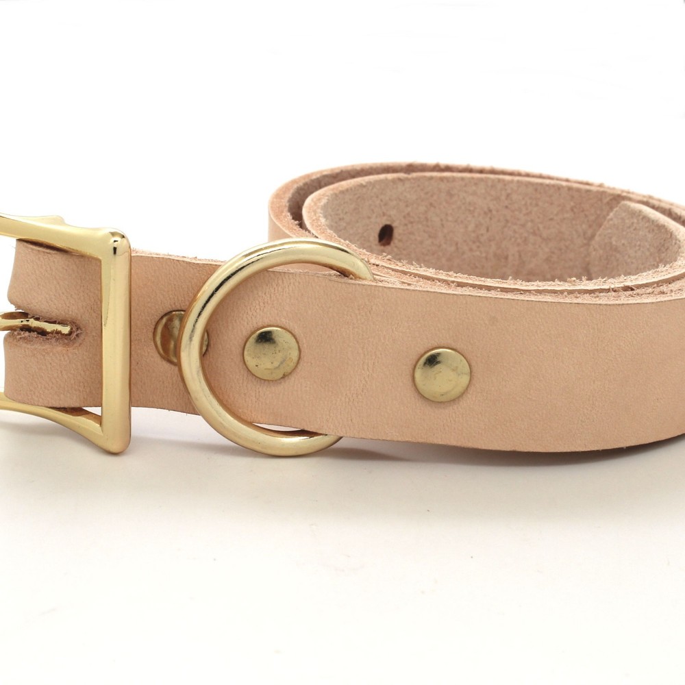 D-Ring 1" Brass Plated Metal 100 Pack