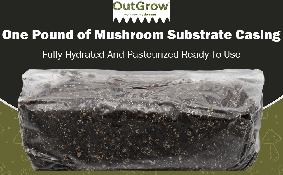 Pasteurized Mushroom Substrate Casing | 1 lb Bag Ready For Use