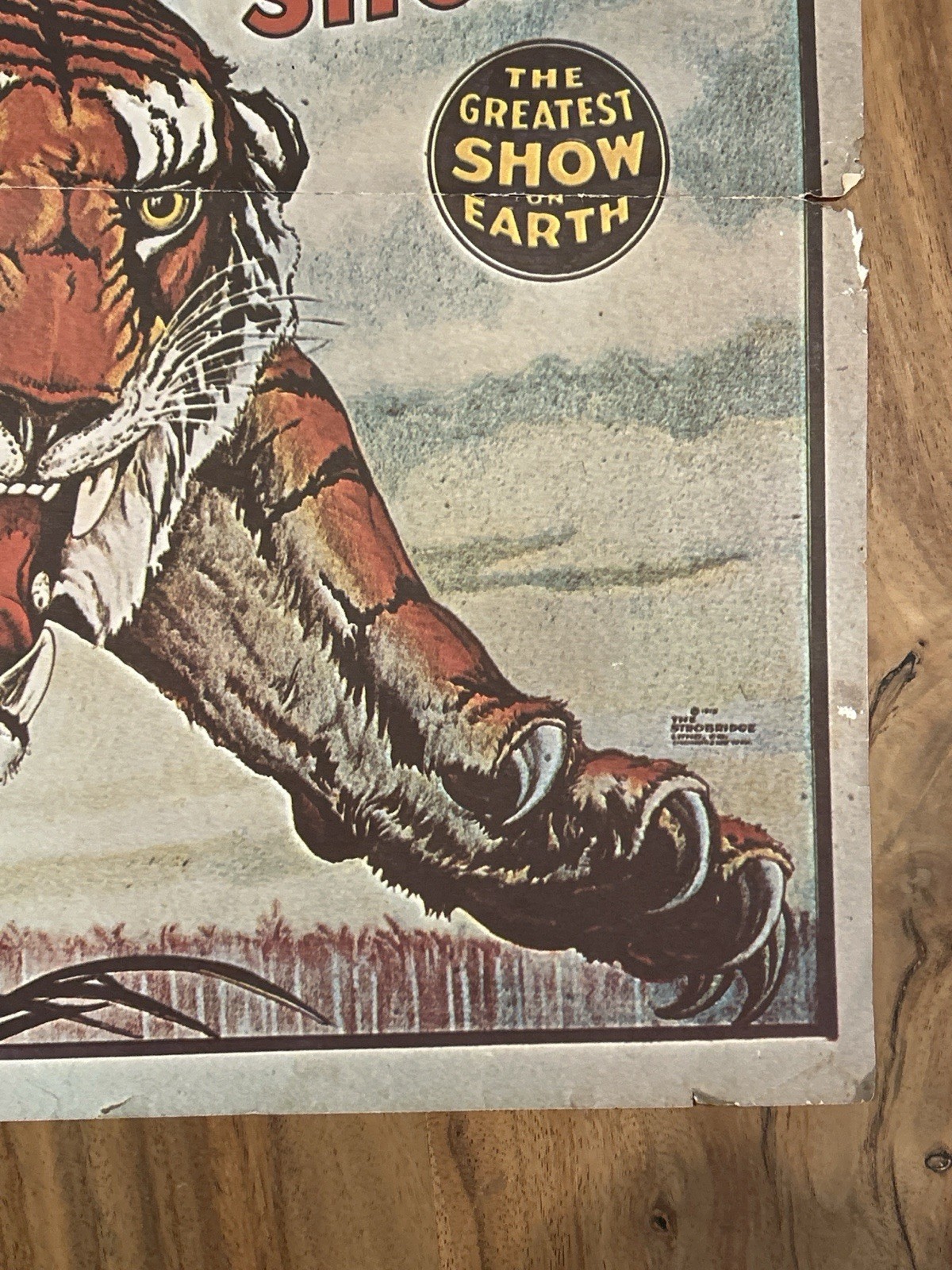 Vintage Ringling Bros Barnum Bailey Tiger Poster Authorized Issue 24x17