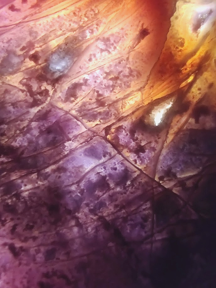 Epic 6" Slab of Rare Burro Creek Agate, Intricate Details & Great Purple Tones