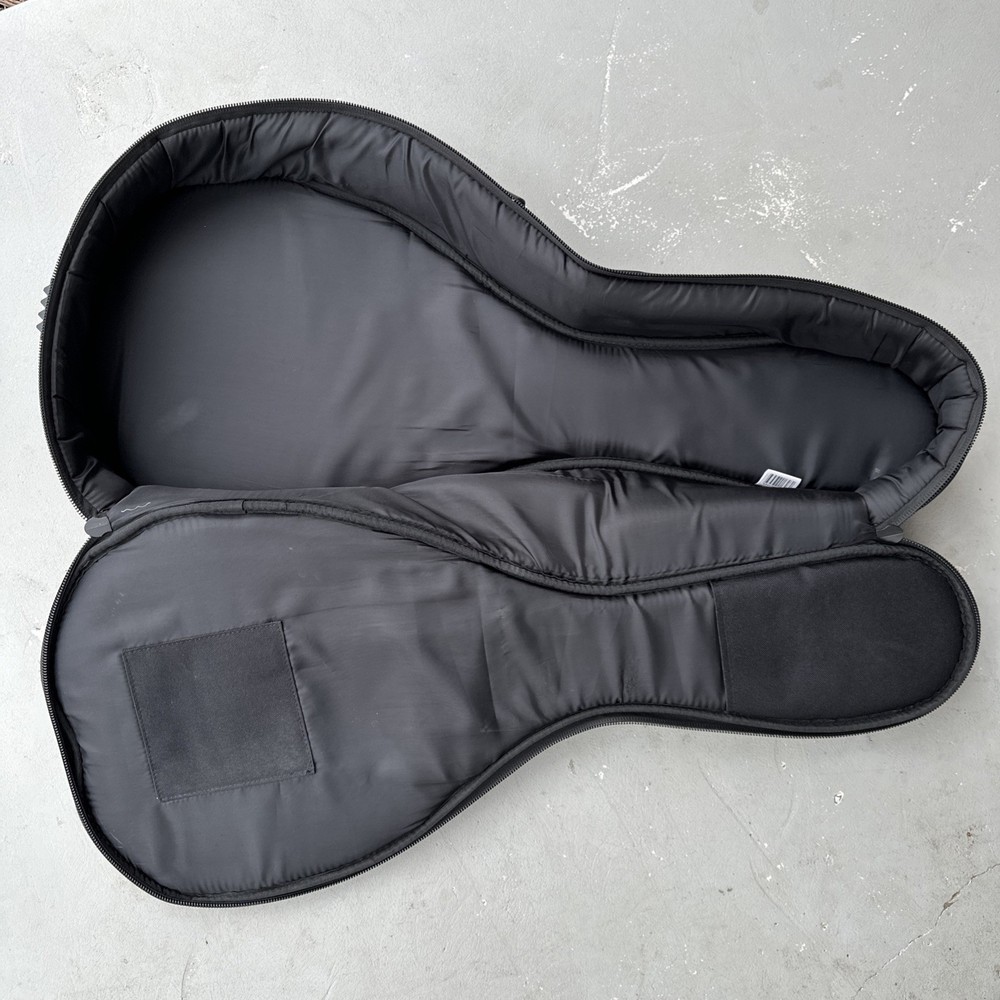 Roadrunner Mandolin Gig Bag