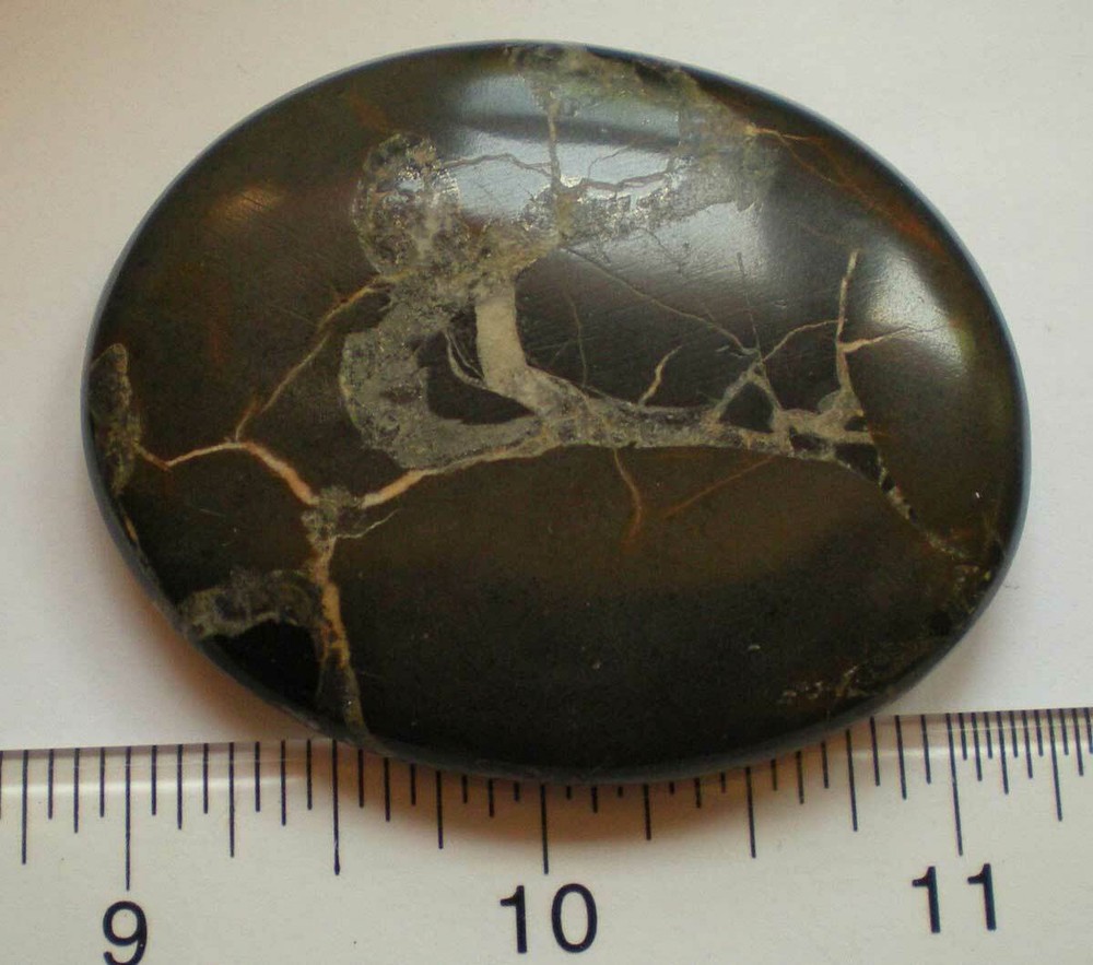 Healing Shield - Septaria Palmstone Morocco sc1064