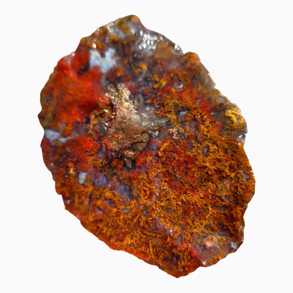 Random Pull San Carlos Agate Lapidary Rough Uncut Chunks