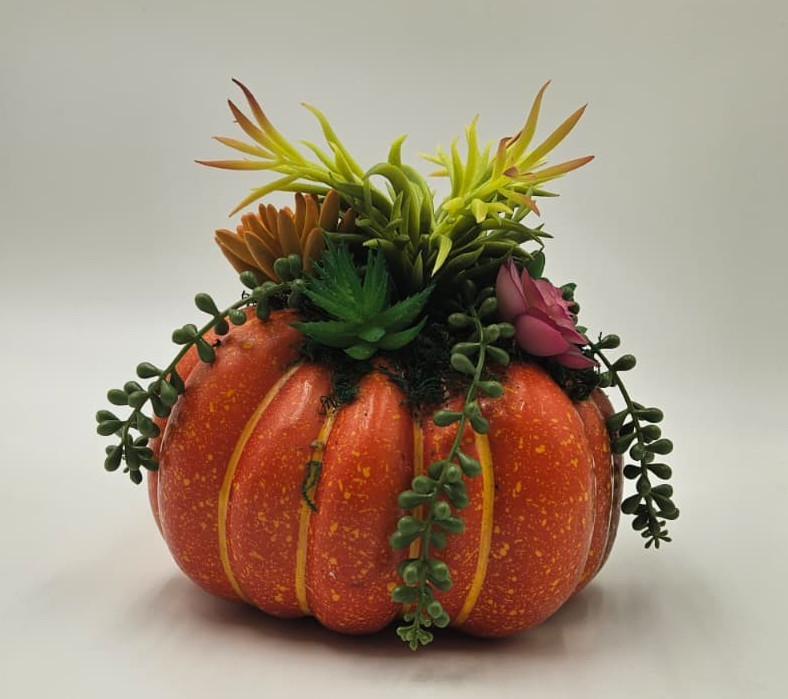 8" Pumpkin Succulent Decoration Fall Autumn Desk Window Office Computer