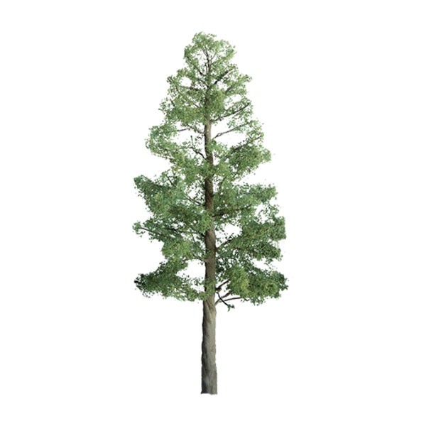 Pine 3' Pro 3pk