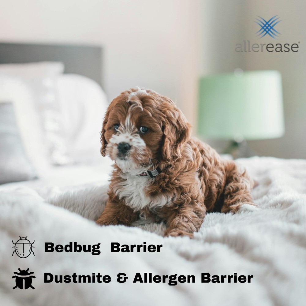 AllerEase Mattress Protector | Bedbug Waterproof Topper | King Size, 78in x 80in