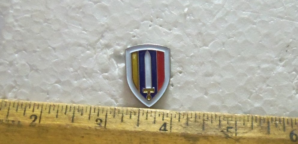 US Army - Vietnam Pin