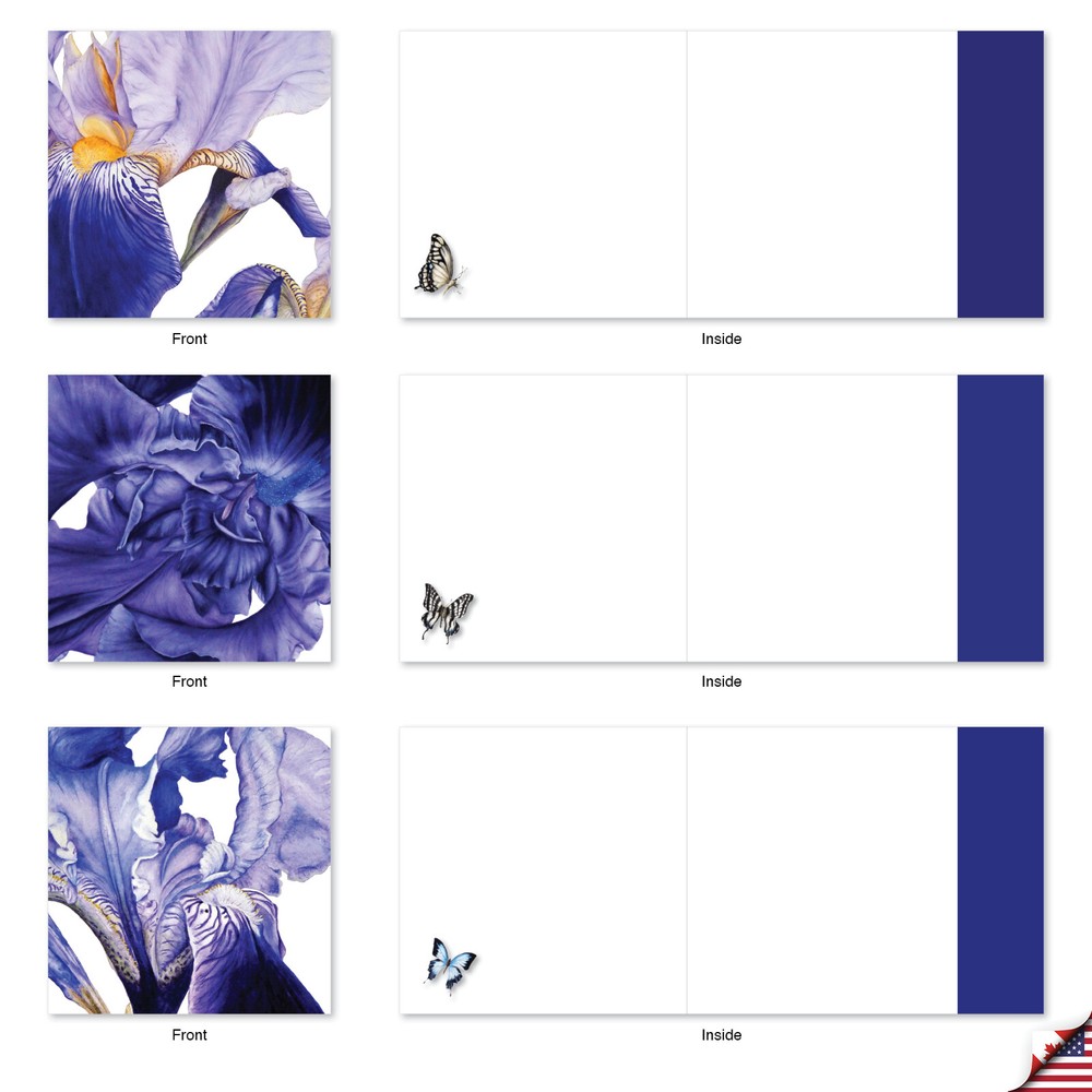 10 Assorted All Occasion Blank Note Cards Pack - Iridescent Iris