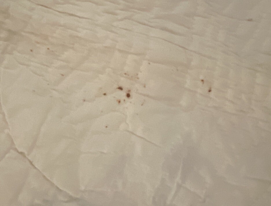 QUILT-‘SIGNED’ HANDMADE Wedding Ring Pattern 78” X 56” PATCHWORK *ANTIQUE*