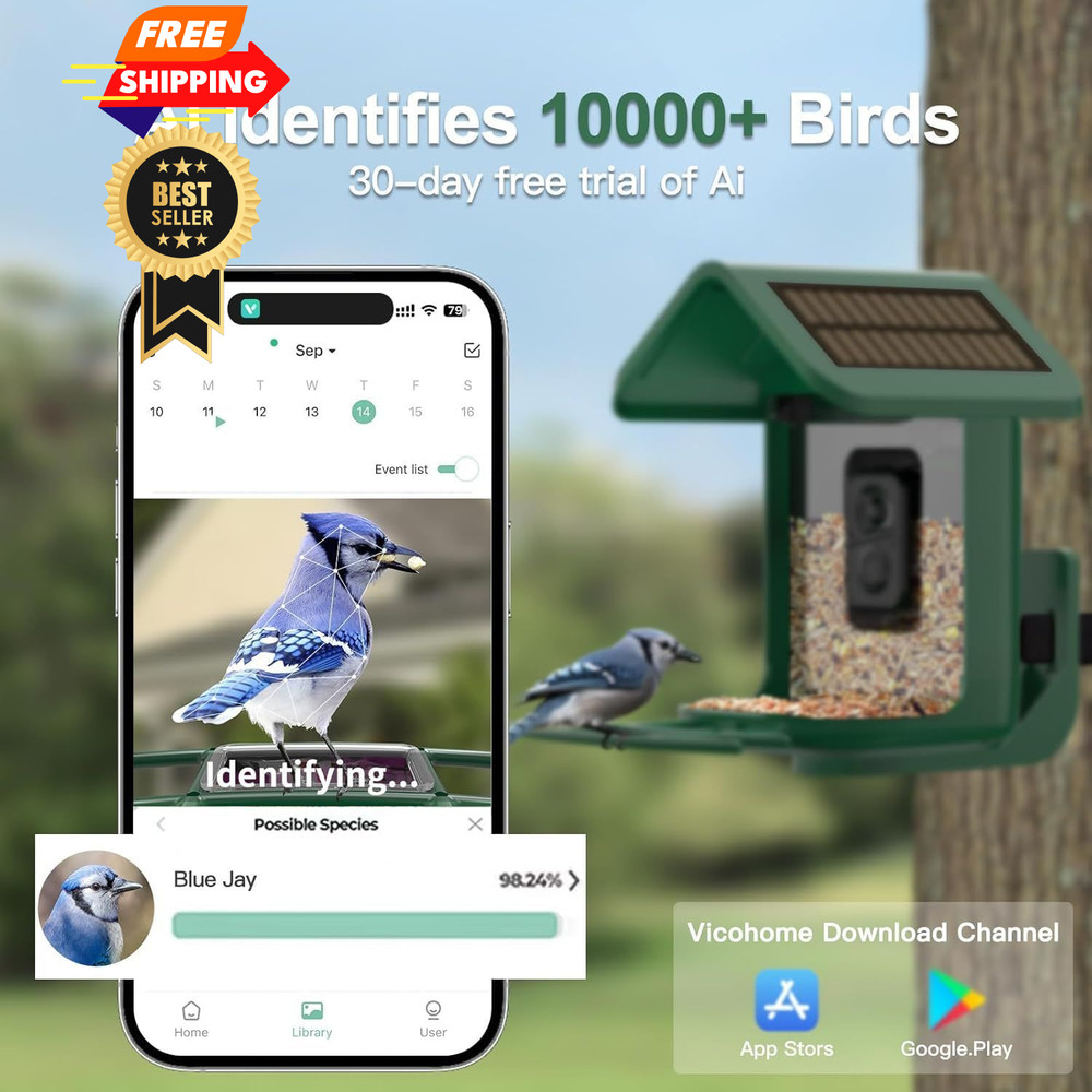 Bird Feeder with Camera Solar Powered : Smart 2K Green