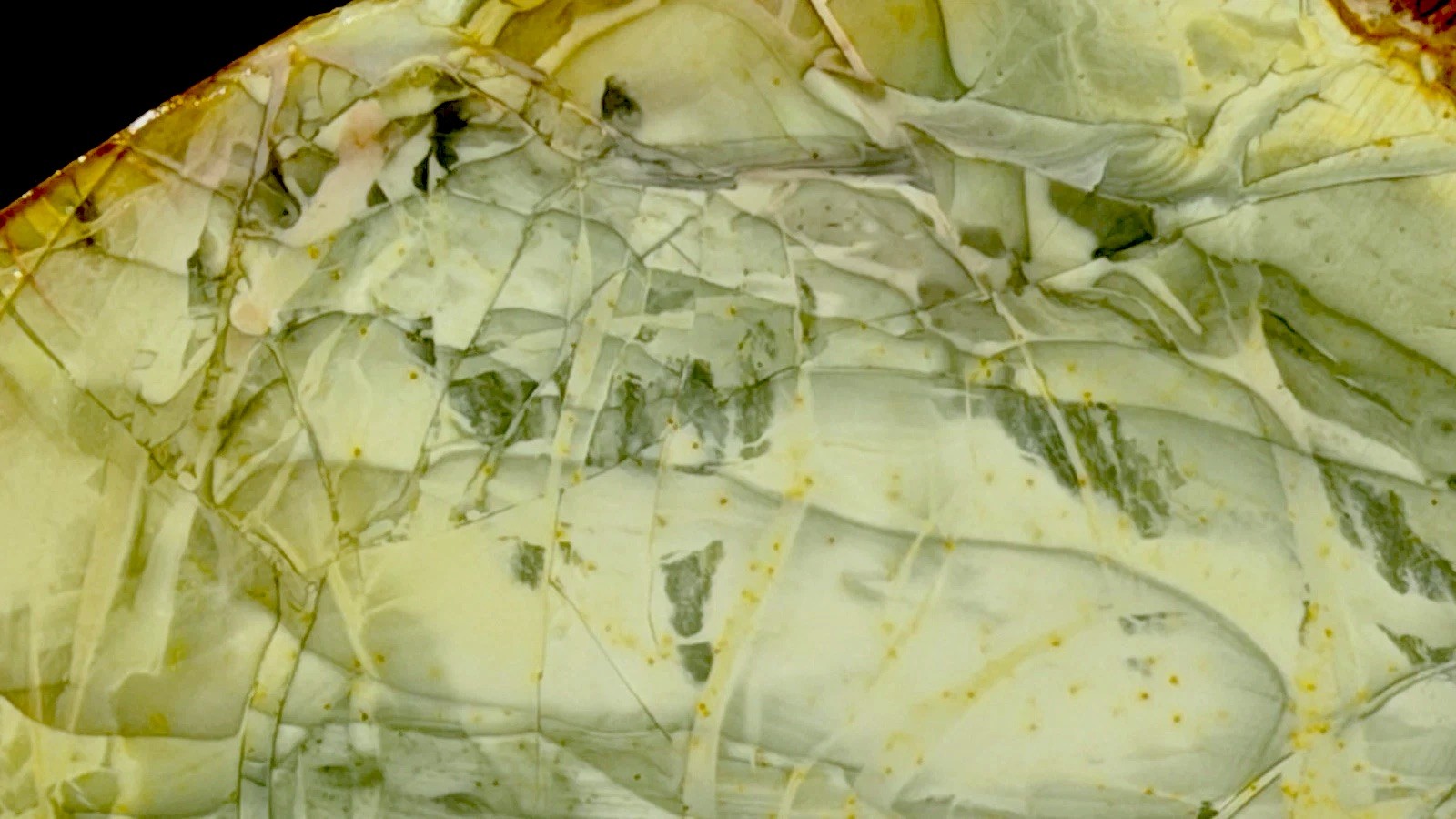 A+ Willow Creek Jasper Slab, Lot #194