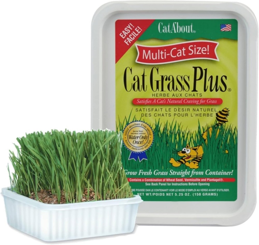 Indoor Cat Grass Kit