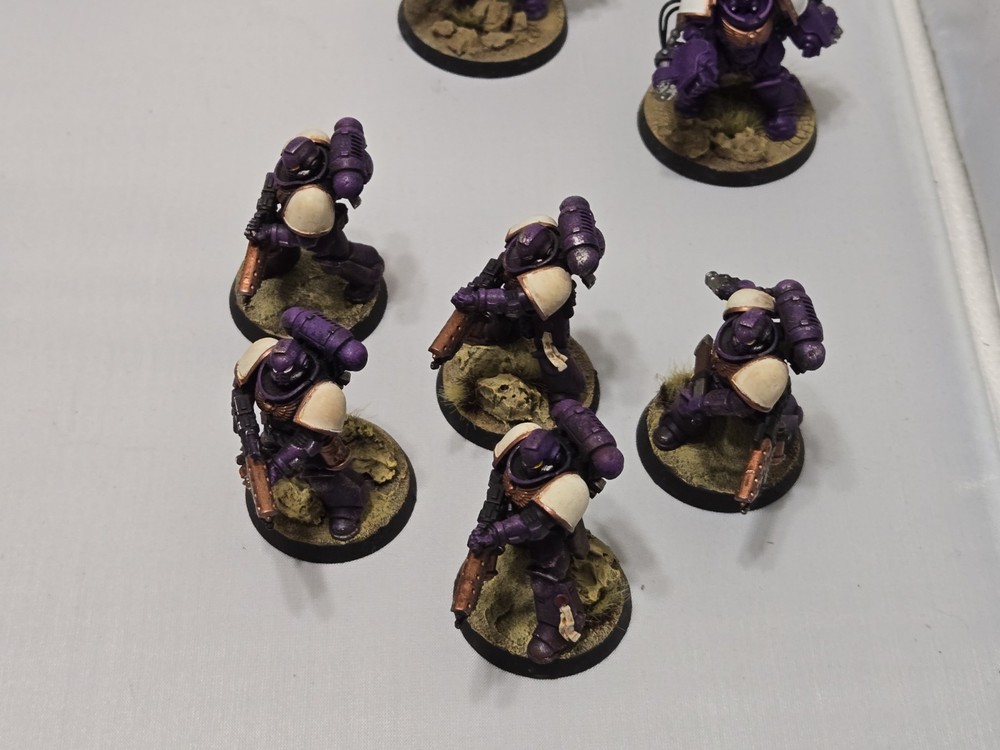 Space Marine Painted Army