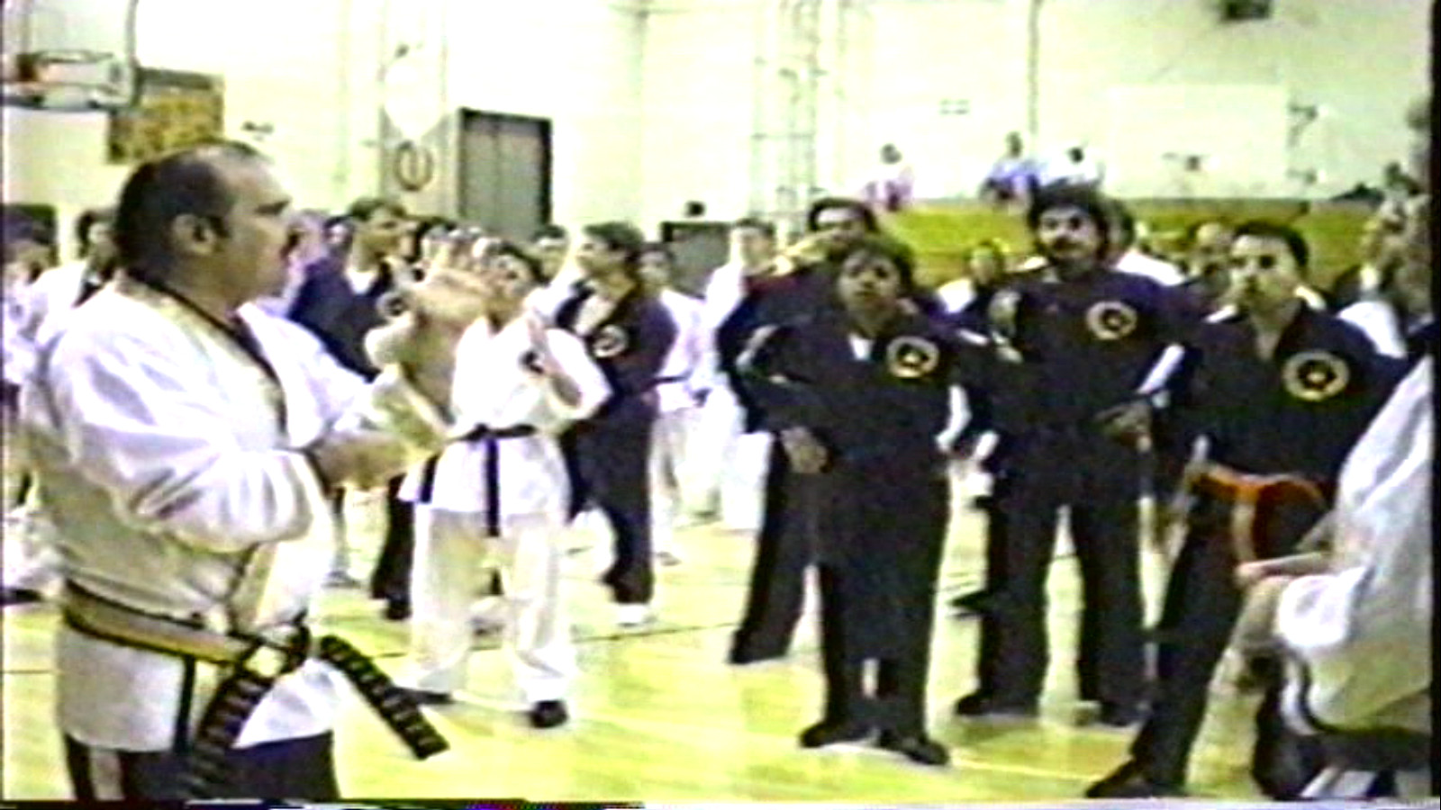 GM Fred Villari Seminar Shaolin Kempo Karate Seminar 90 | Martial Art | Kung Fu