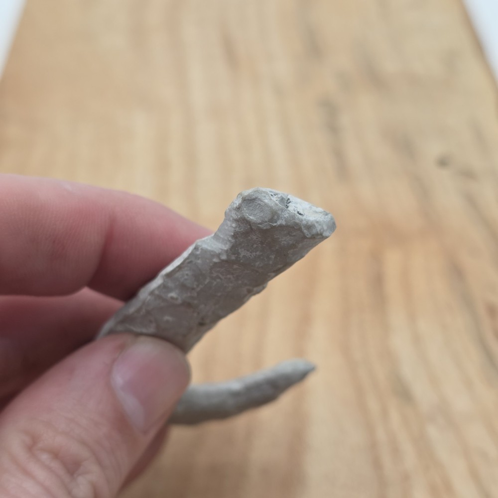 White Flint Indian Fish Hook