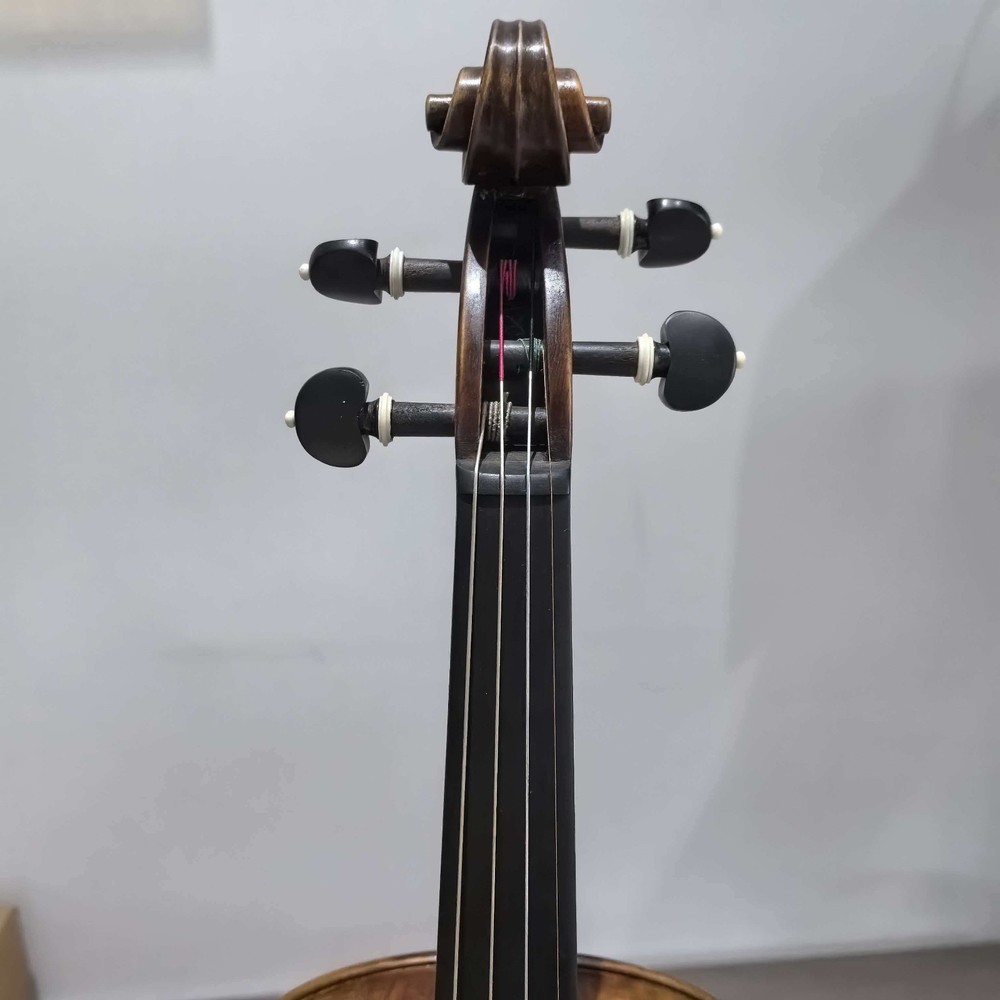 SurpassMusic 4/4 Violin Outfit Maple Back Solid Spruce Top with Case&Bow