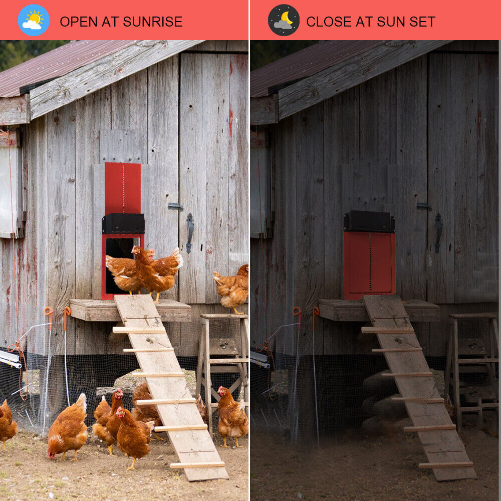 Chicken Coop Door Automatic Waterproof With Light Sensor Poultry Gate Hen NEW