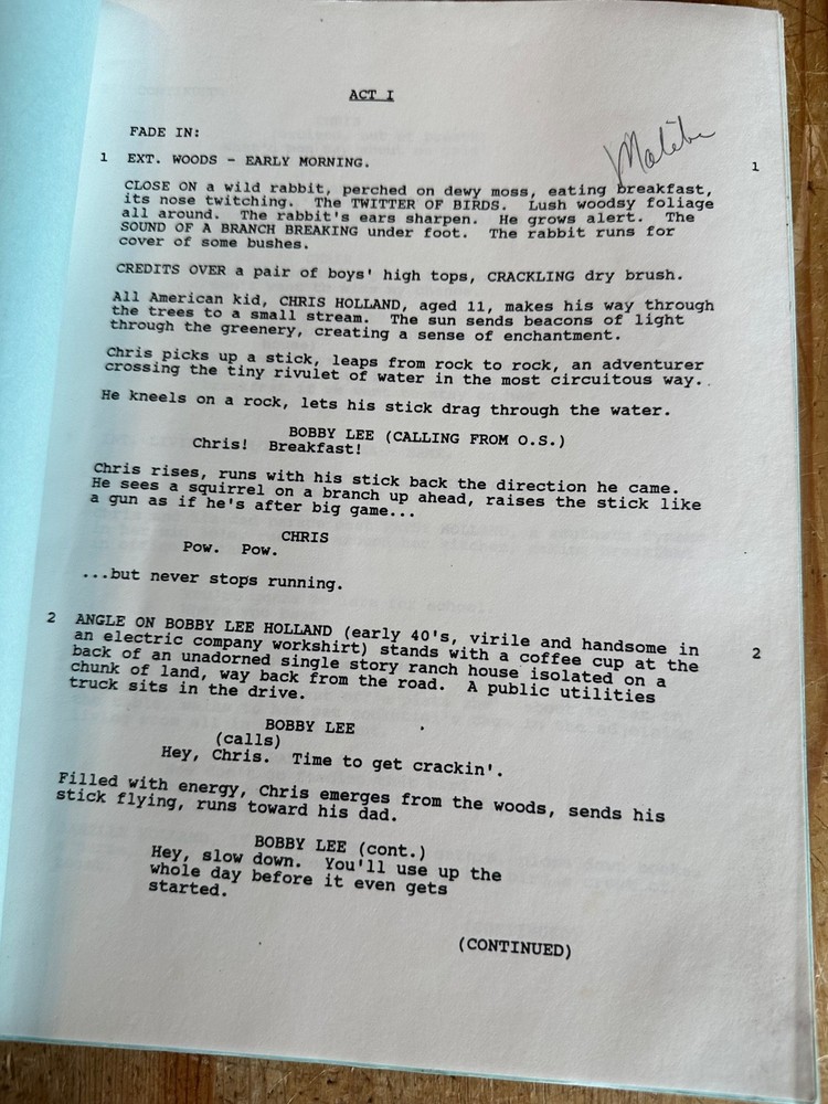 Armed and Innocent SCREENPLAY SCRIPT KATE JACKSON ANDREW STEVENS