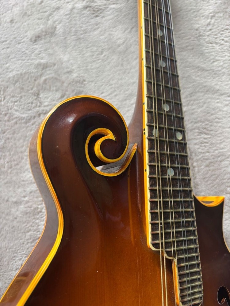 Kasuga Flat Mandolin M-75