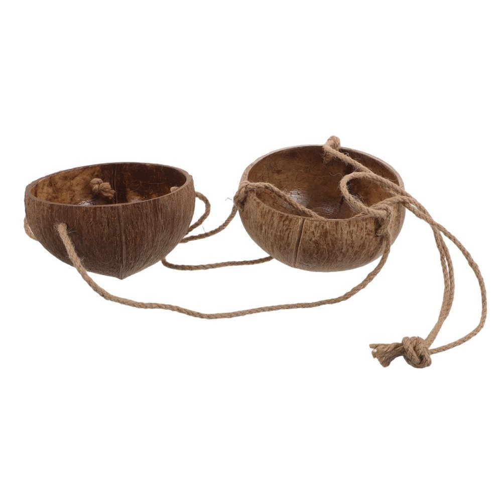 Bedroom Hanging Planter Decorative Coconut Shell Flower