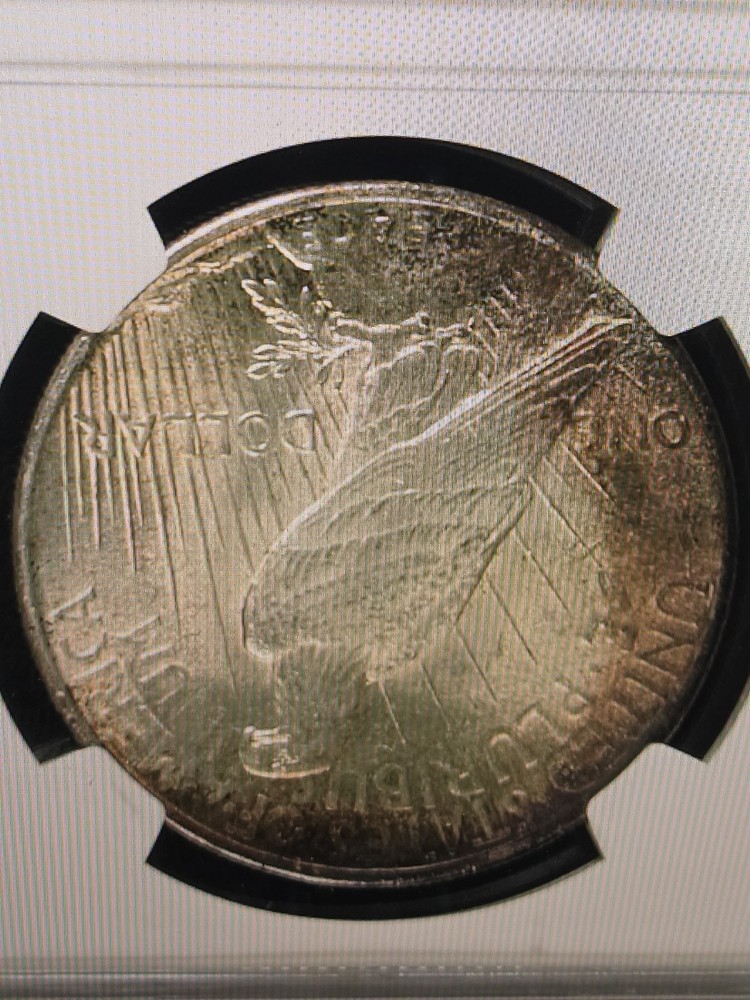 1925 $1 Peace Dollar NGC MS65 Toned