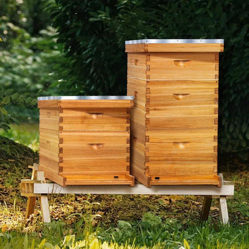 10-Frame Langstroth Bee Hive Complete Bee Hive Kit Beeswax Coated Include Beehiv