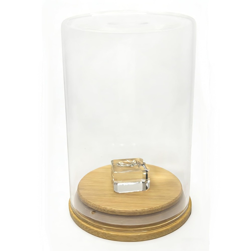 Ultra Clear Glass Display Case Dustproof Sealed Solid Wood Base Flat Stackable f