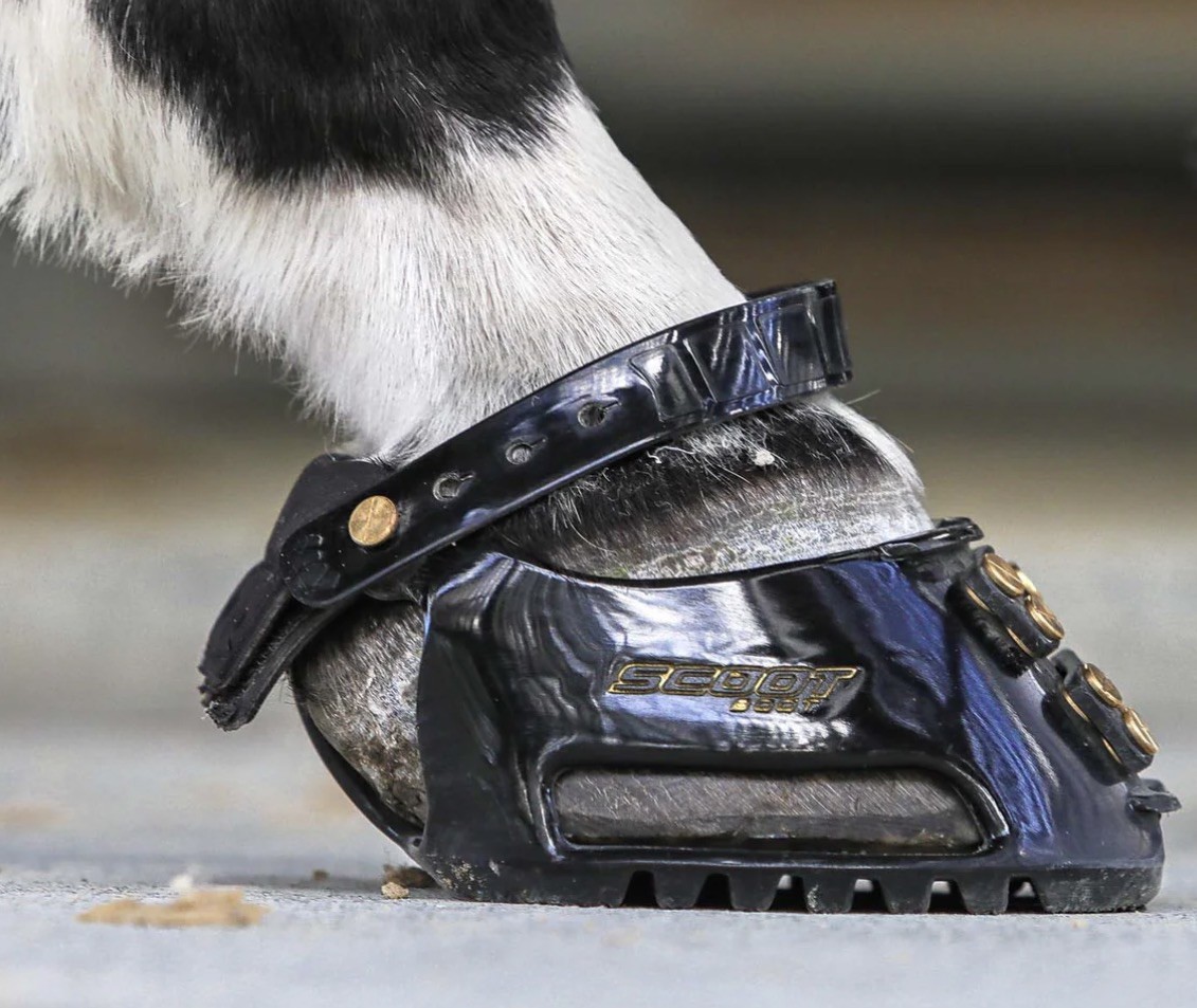 Scoot Boots (Classic): Pair Size 2 Slim - New/Unused