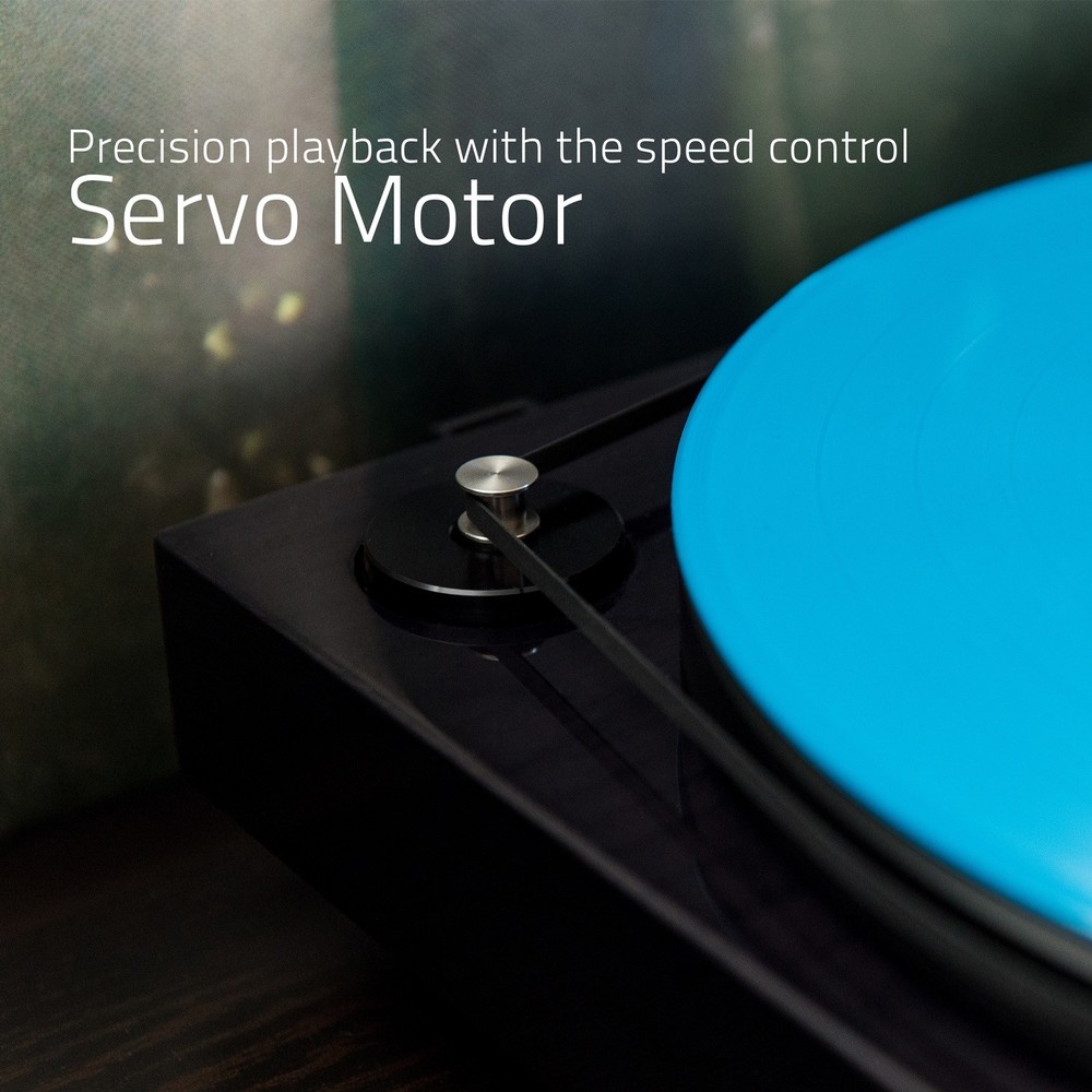 Fluance RT83 Reference Turntable with Record Weight and Vinyl Cleaning Kit