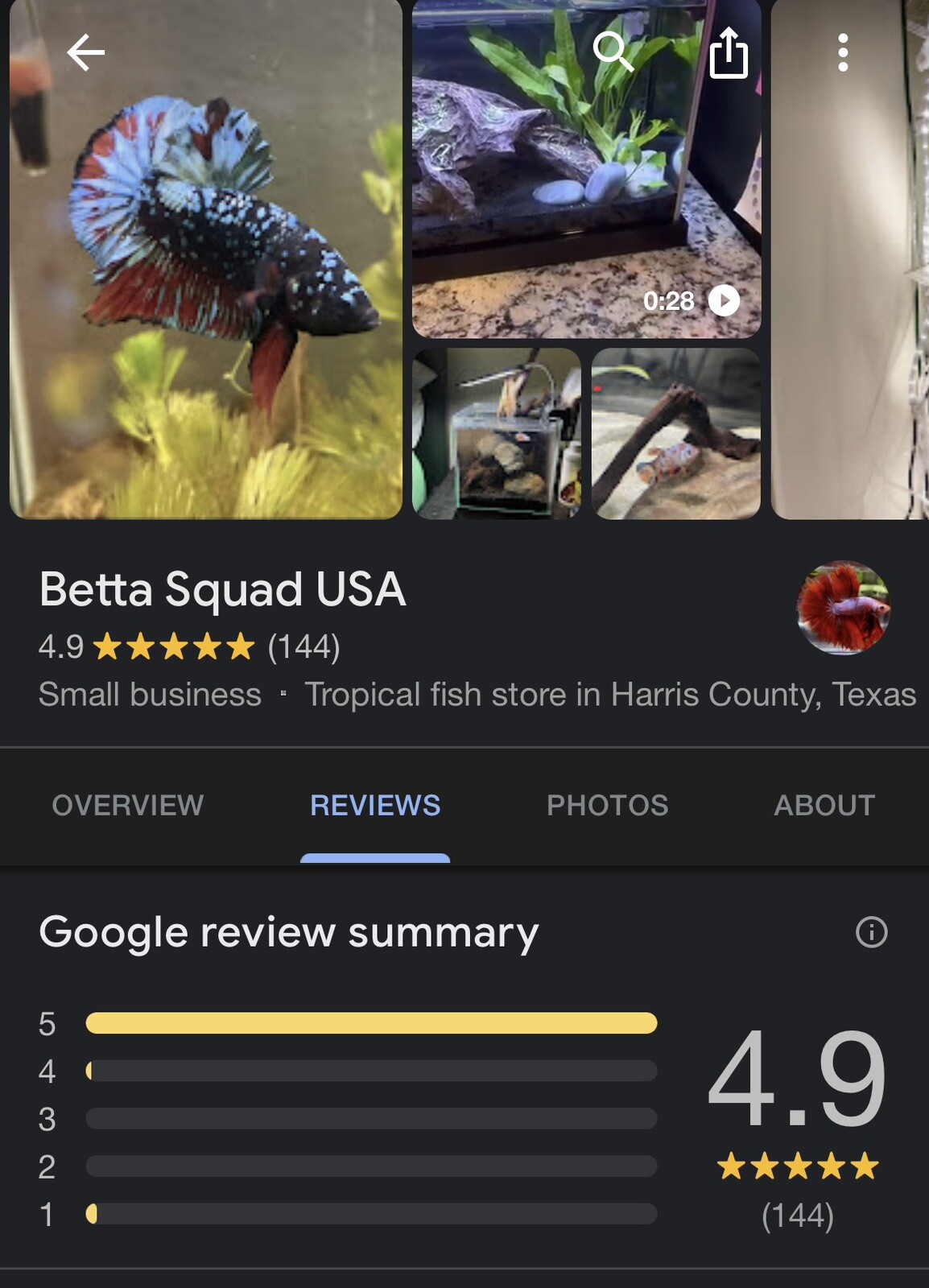 200+ Live Daphnia Magna FREE PRIORITY SHIPPING