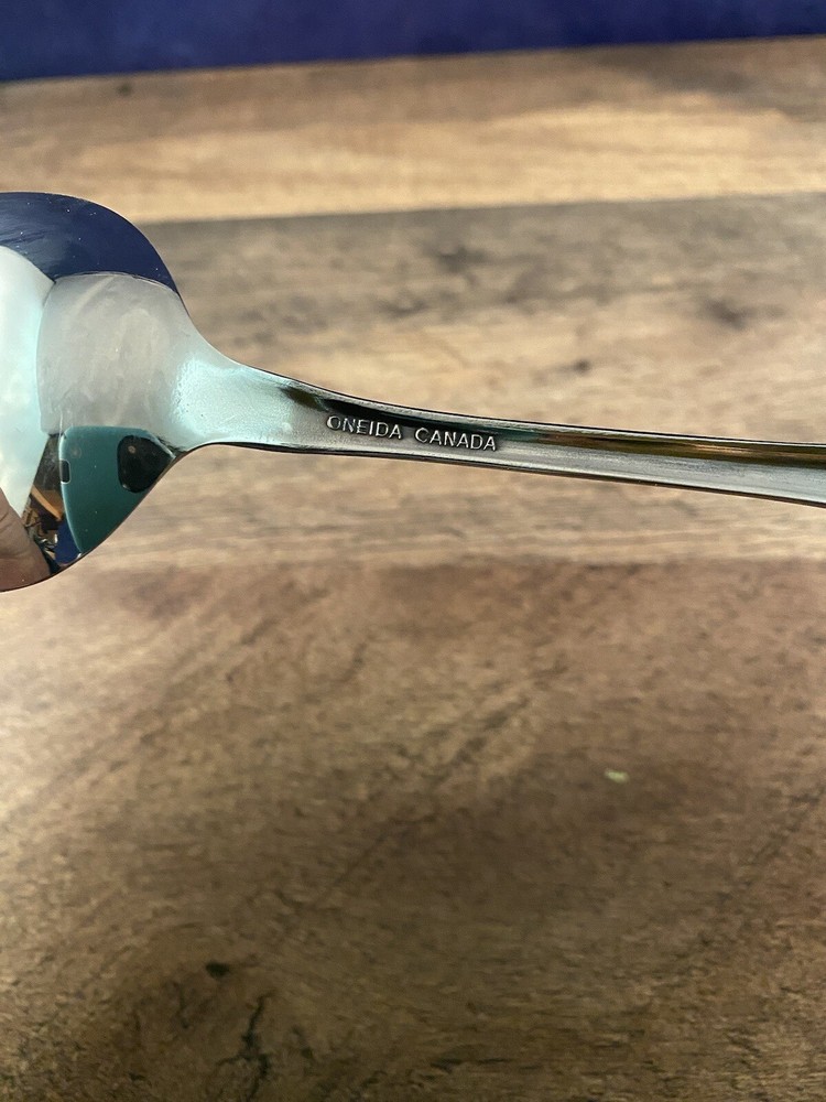 Large Oneida Canada Serving Spoon Scroll Flower Design Unknown Pattern