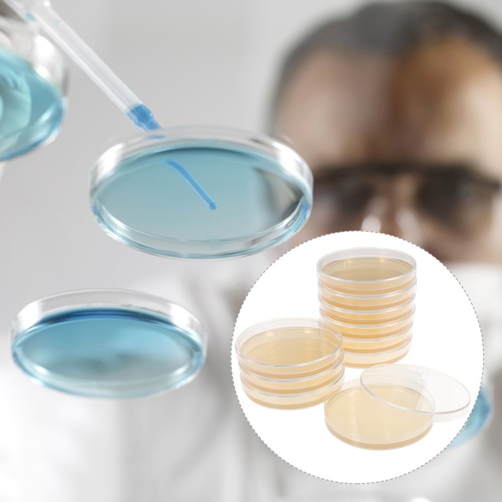 10 Pcs Prepoured Petri Dish Nutrient Agar Plate Extract