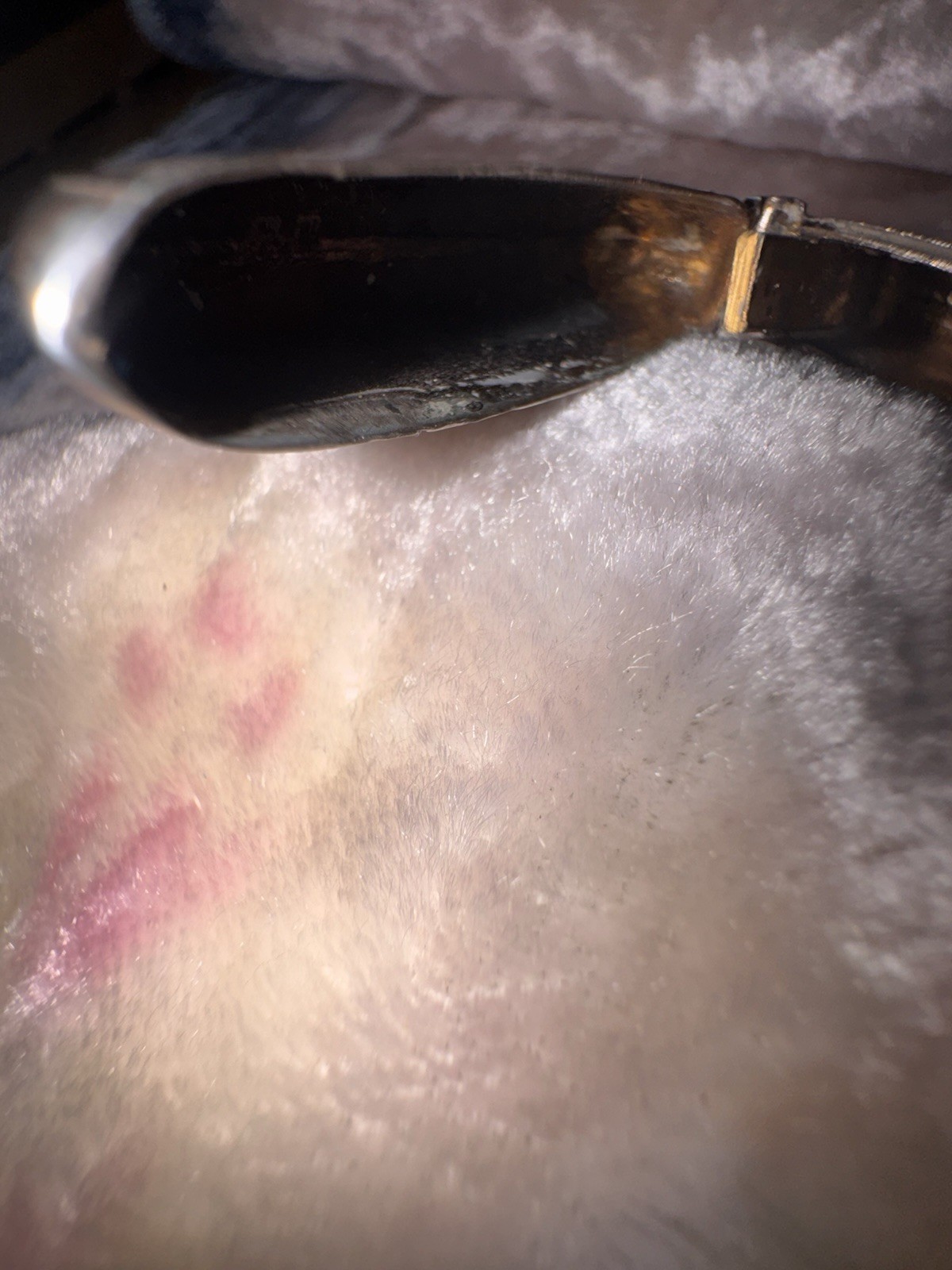 SUPERB ANTIQUE EDWARDIAN SOLID STERLING SILVER SEVEN FINGER VESTA CASE C.1910