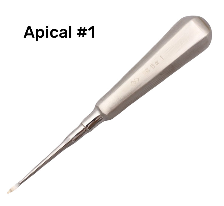 Dental Luxating Apical Elevators Teeth Root Tip Extraction Forceps Instruments