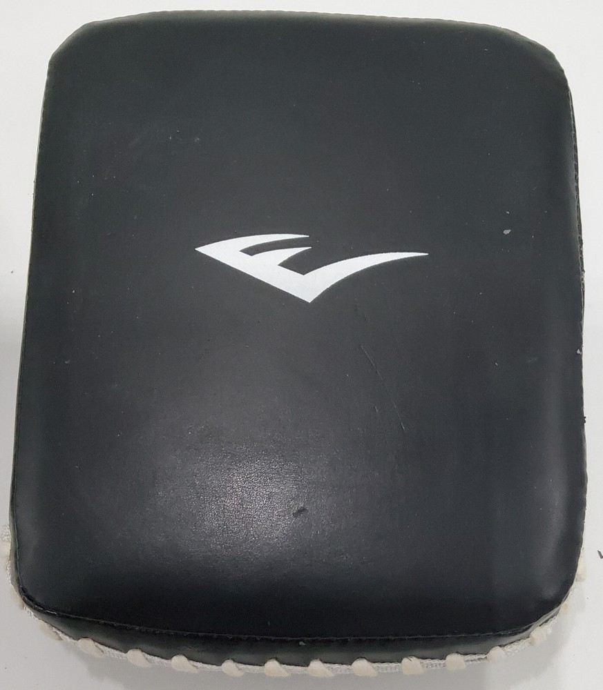 Everlast Boxing Target Punch Mitt